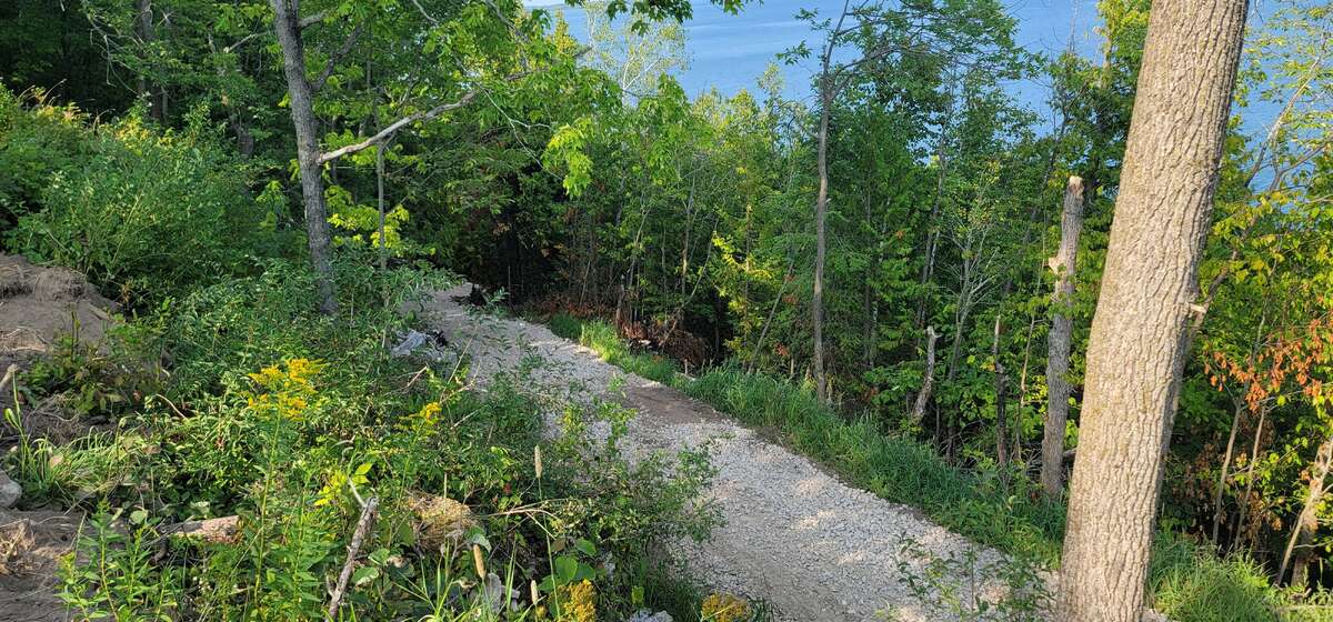 Path to waterfront