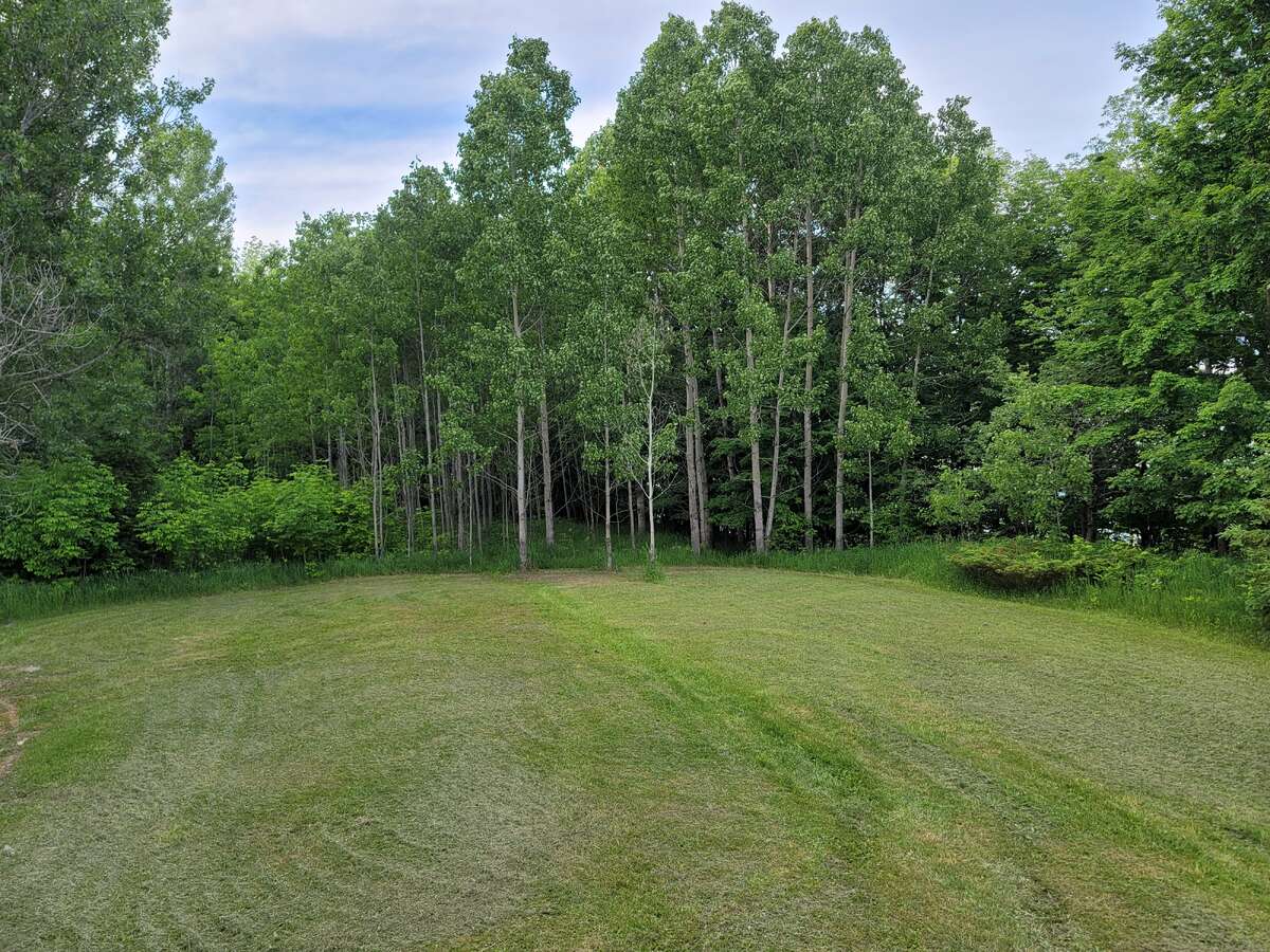 back lawn