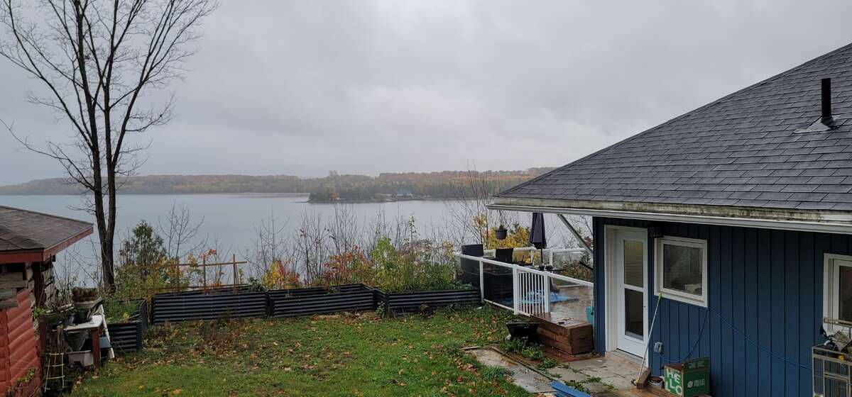 View from Swimspa gazebo