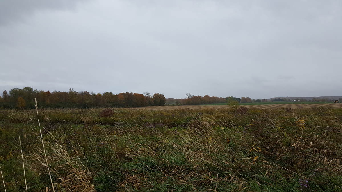 Beautiful nature; even on a rainy day in late October.