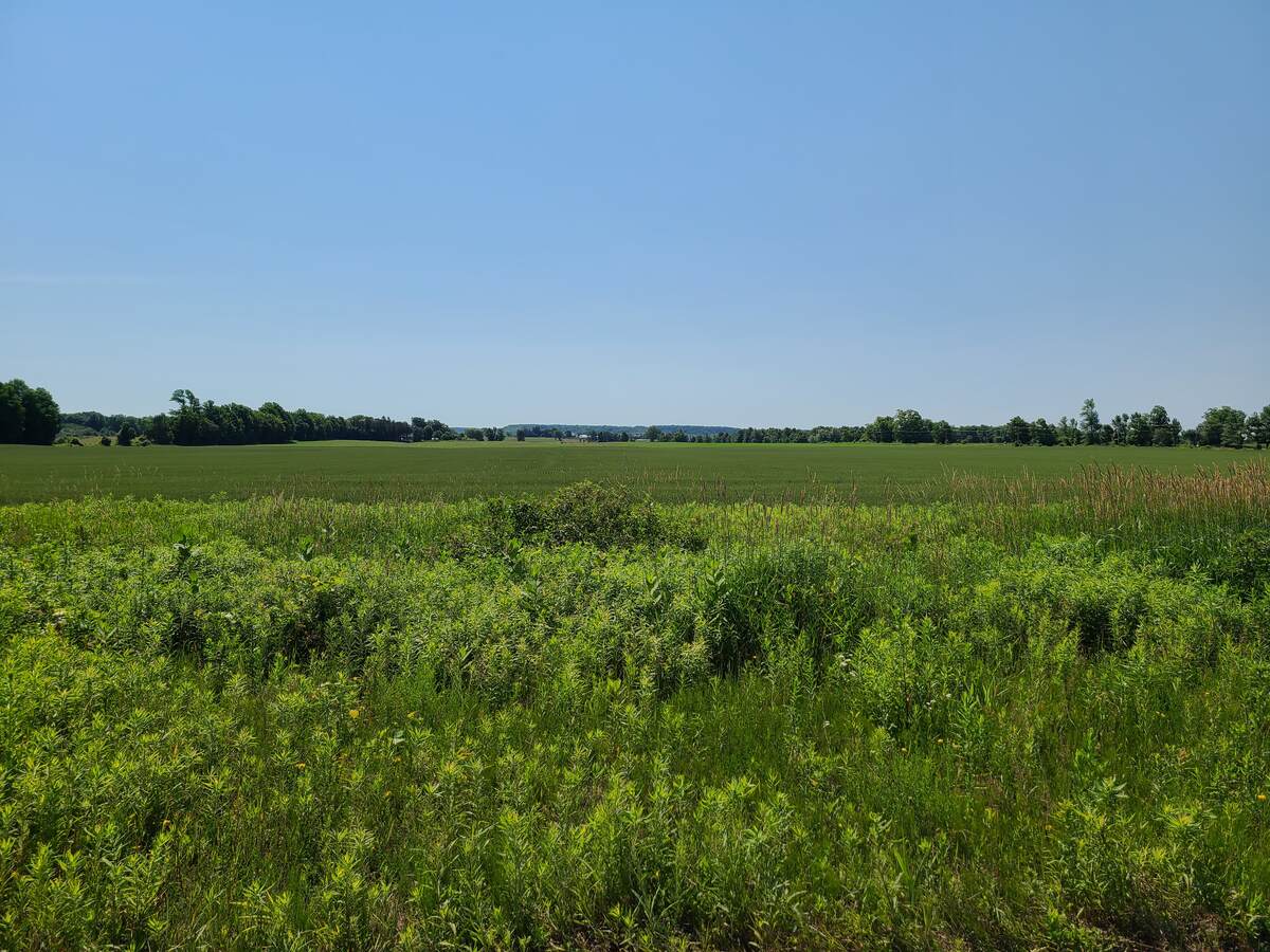 View over hay fields