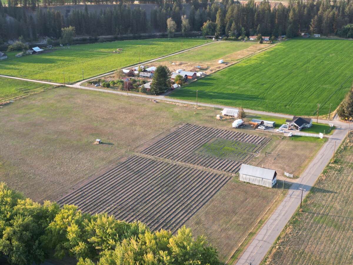 10.98 Acres, Almond Gardens Frontage
