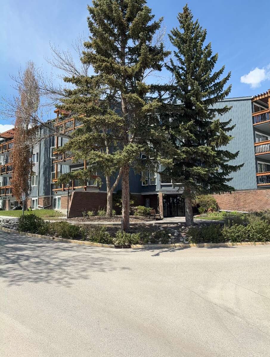Updated 1 bedroom, 1 bath Condo desired area