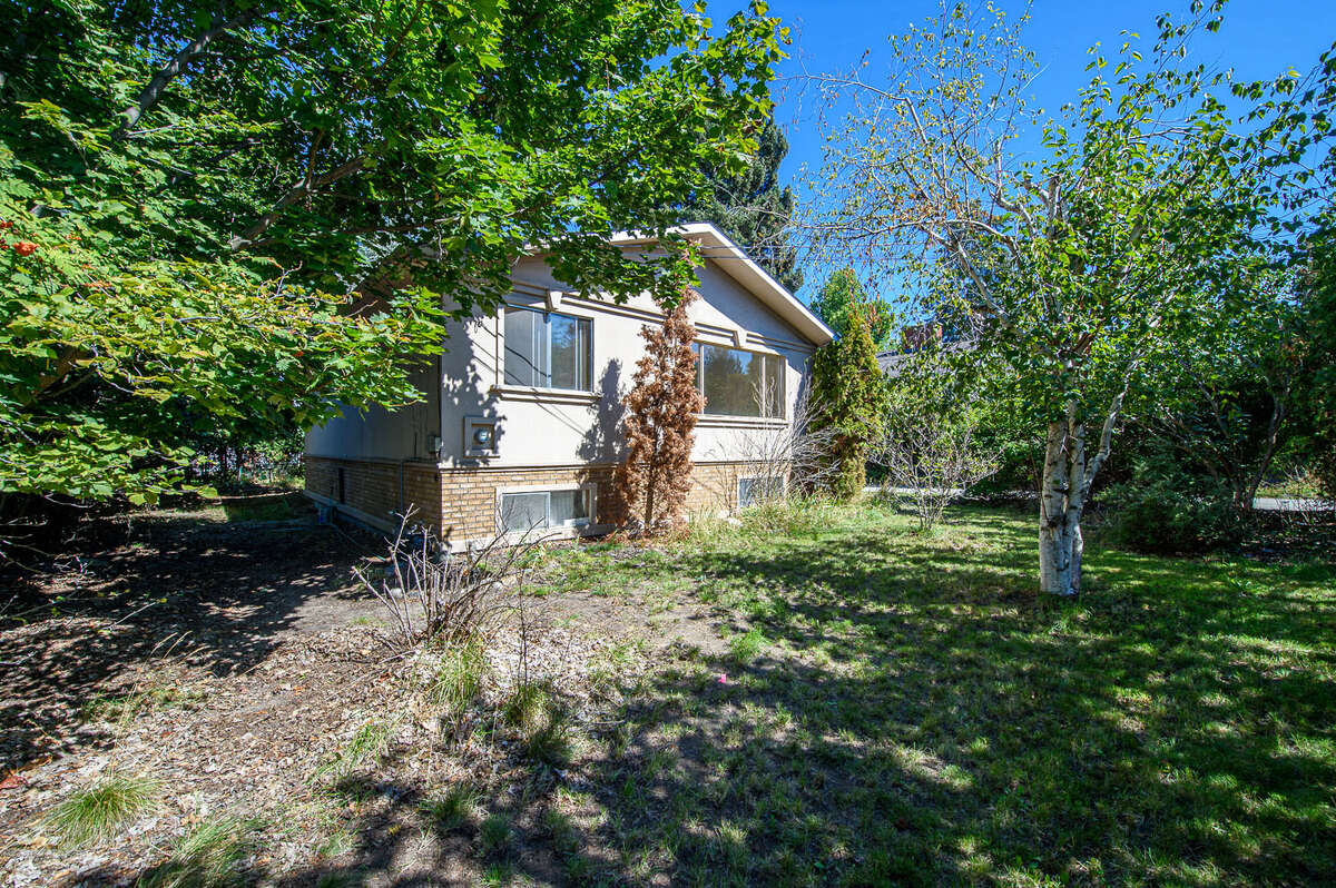 Heavily Treed Lot