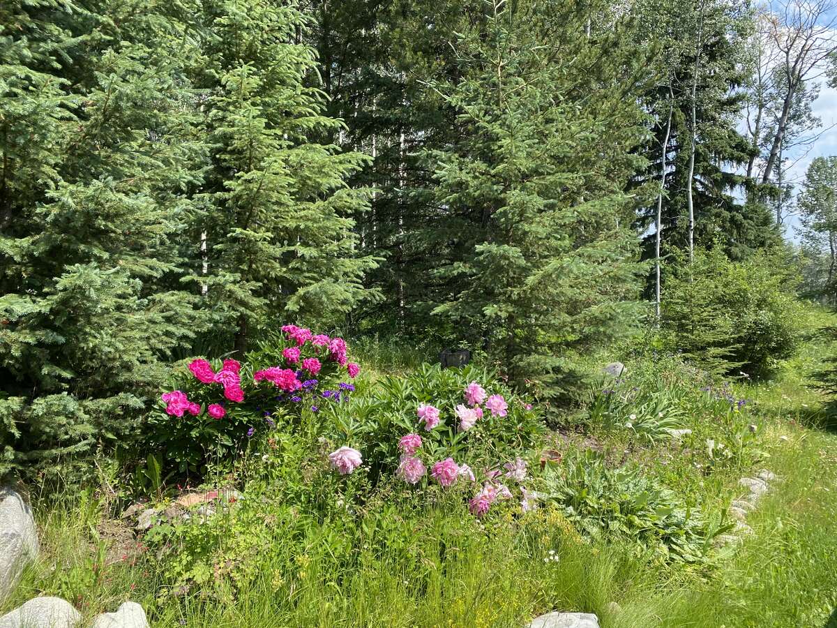 flower bed