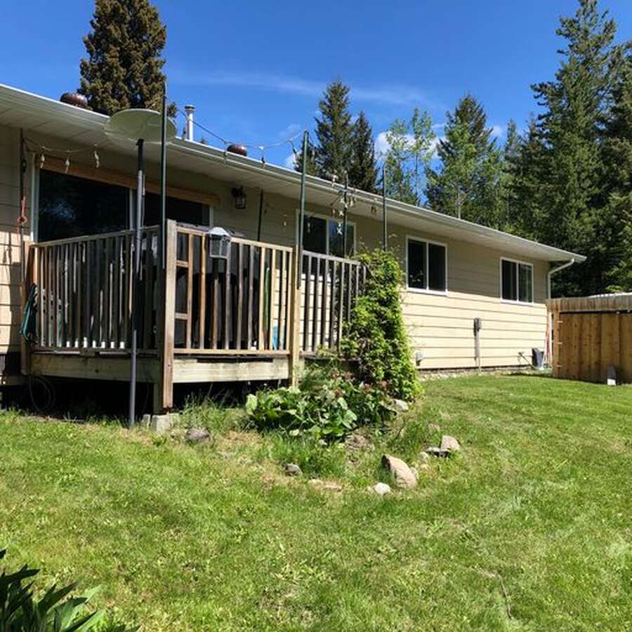 back yard