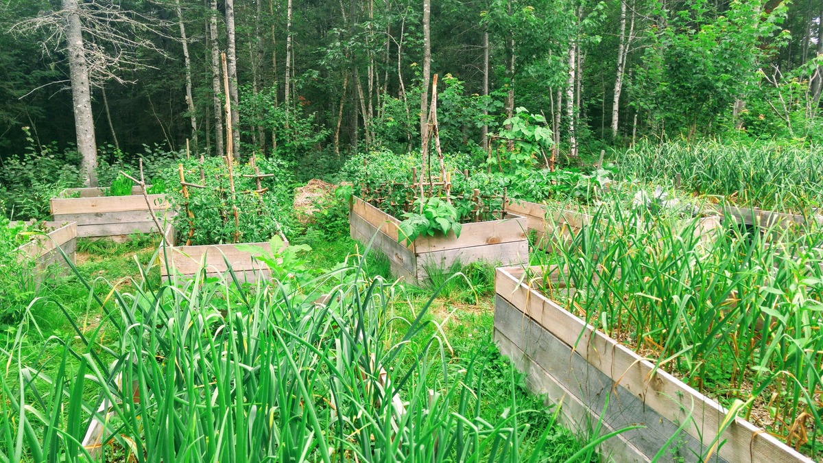 Raised hugelkultur beds - photo 3