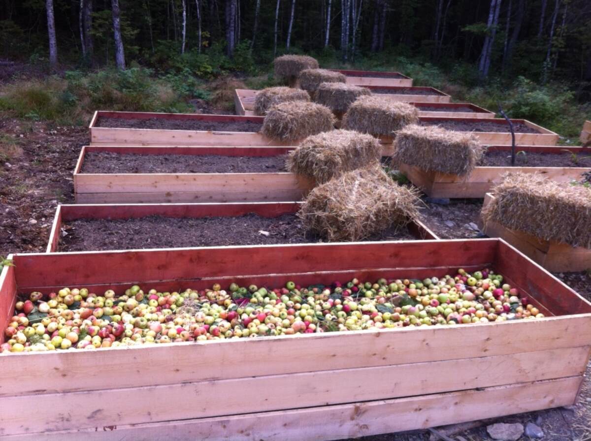 Preparing the hugelkultur beds
