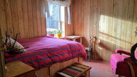 North-facing guest bedroom