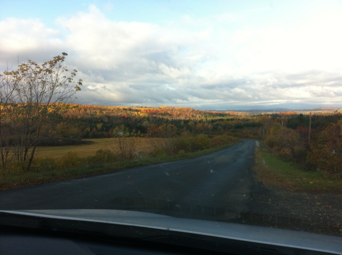 Nearby fields and forests