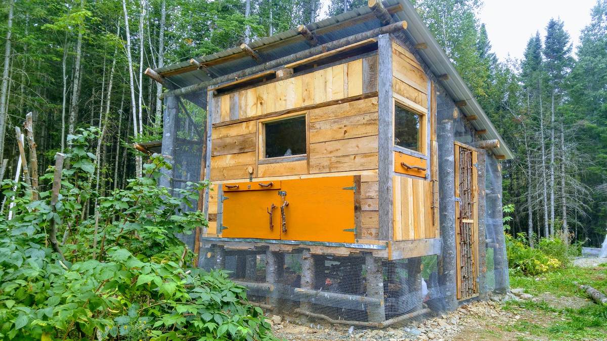 Raised Chicken Coop with covered run enclosed with hardware cloth.