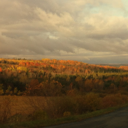 Neighbouring vistas