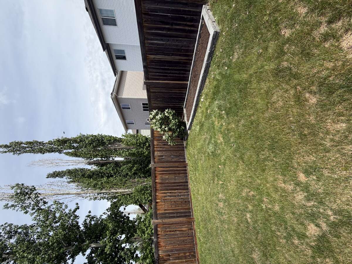 Garden 3