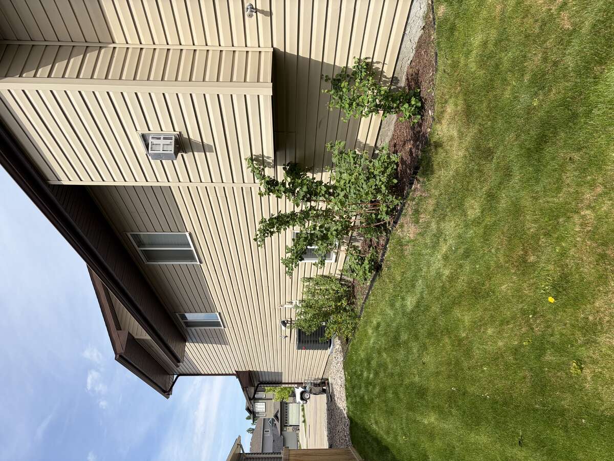 Garden 1