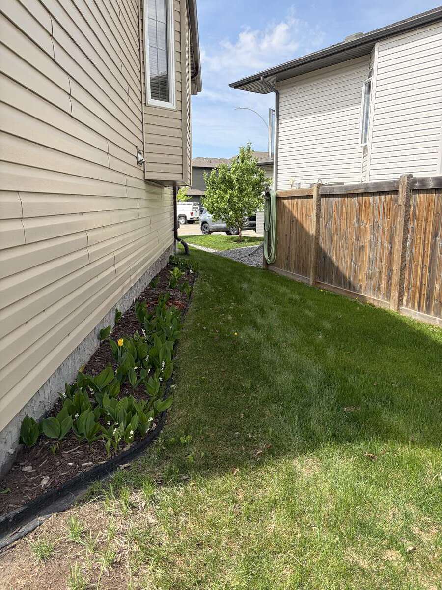 Garden 4