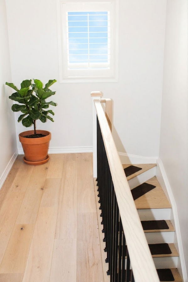 Powder room on the main floor with toilet seat.