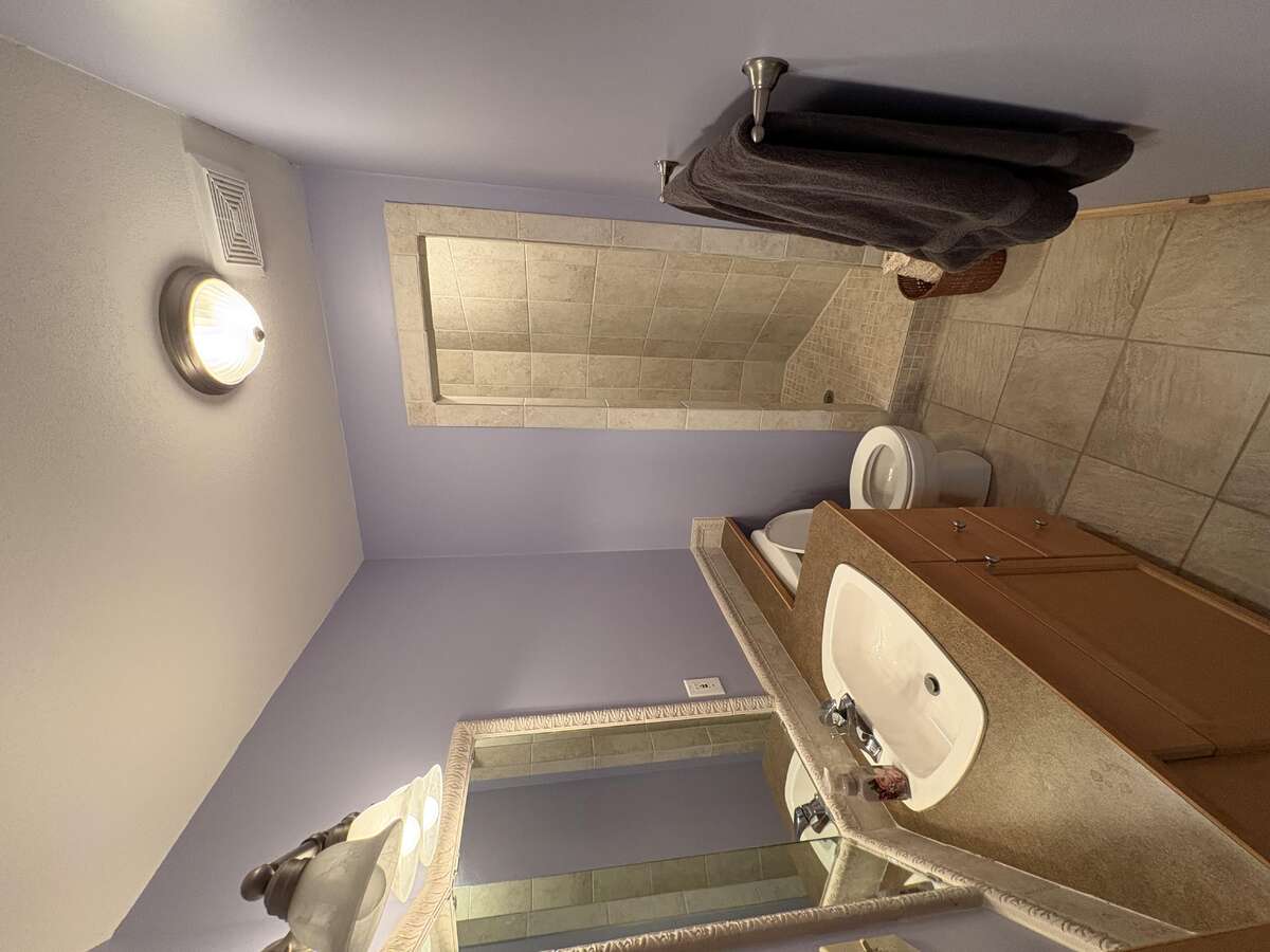 Lower Level Bathroom