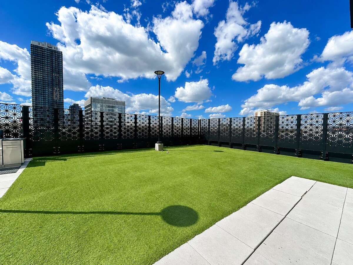 Dog Playground