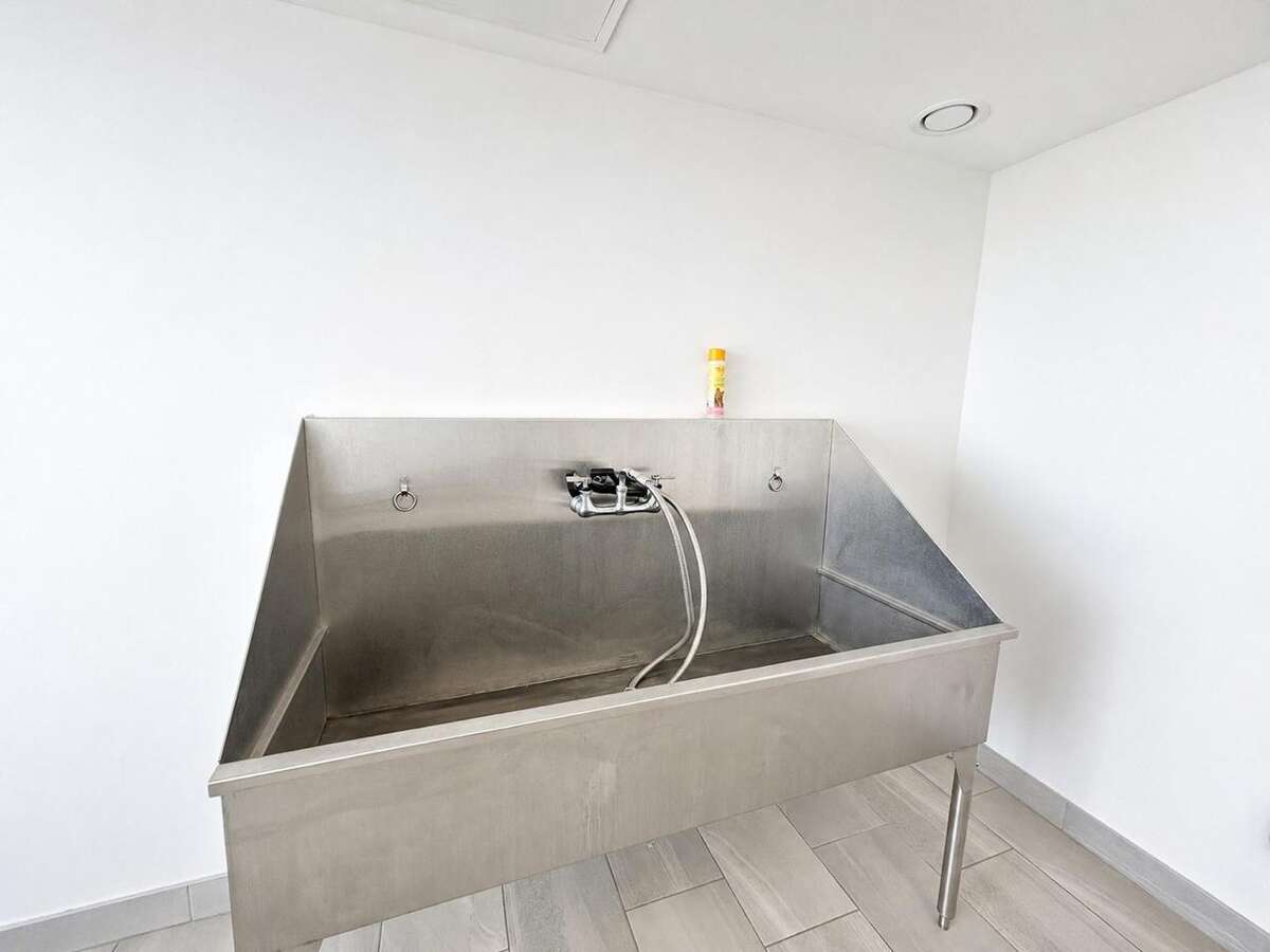 Dog Wash Station