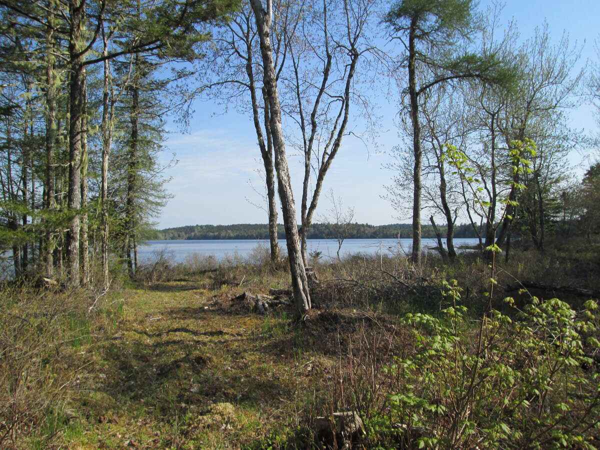 Forest and lakefront privacy!