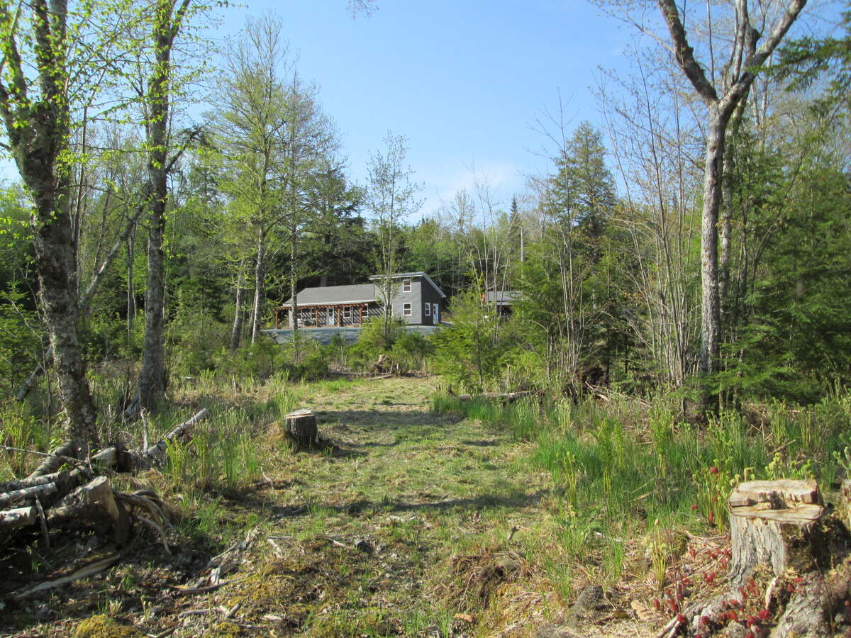 Forest and lakefront privacy!