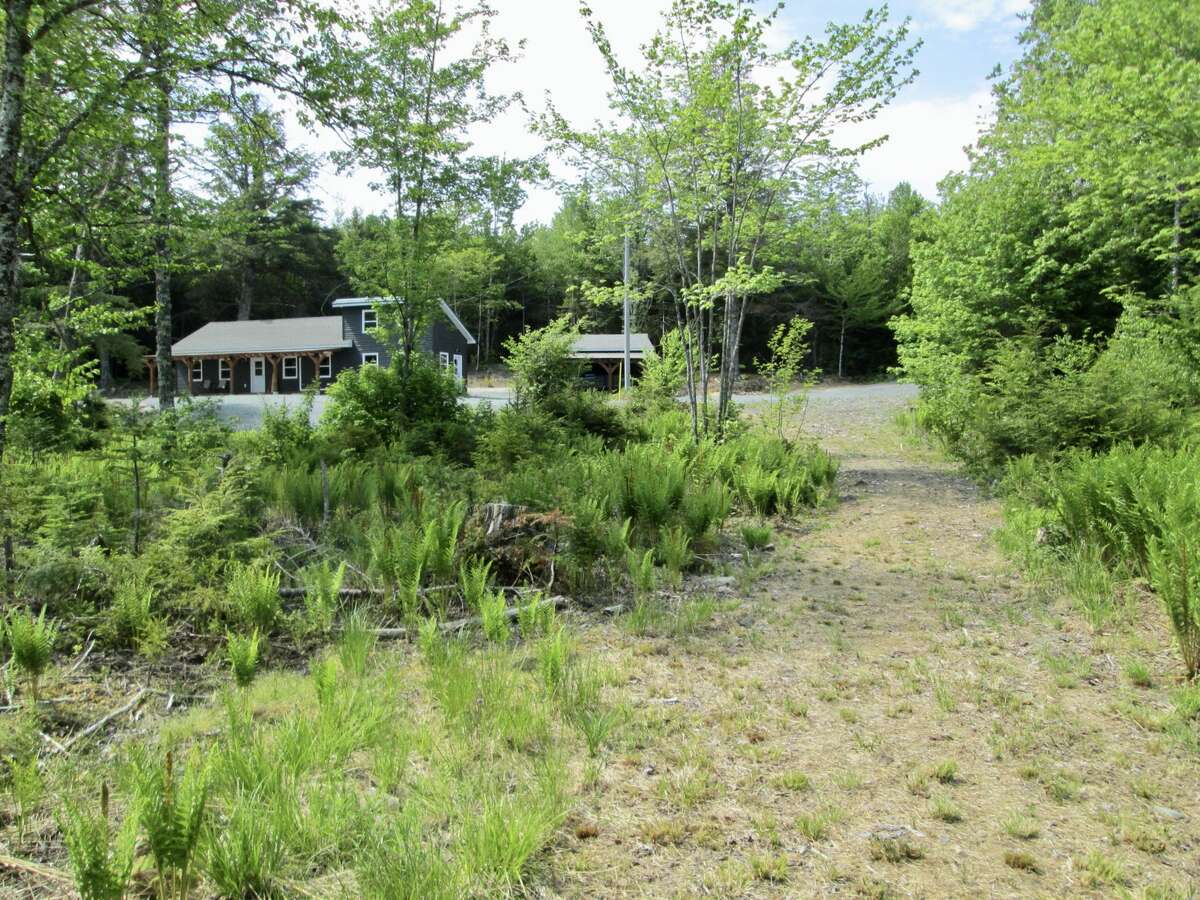 Forest and lakefront privacy!