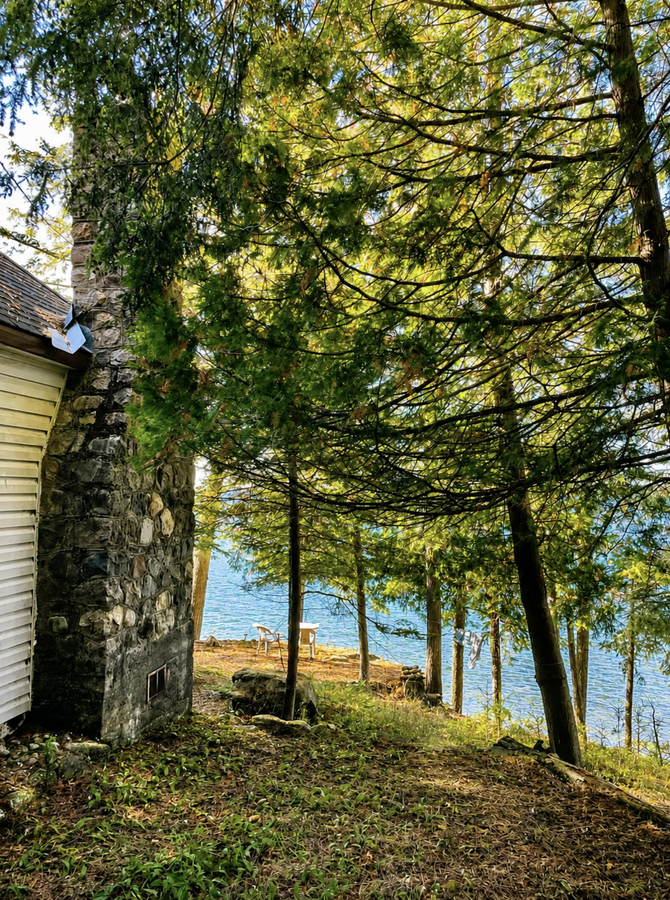 Rare Big Basswood Lakefront