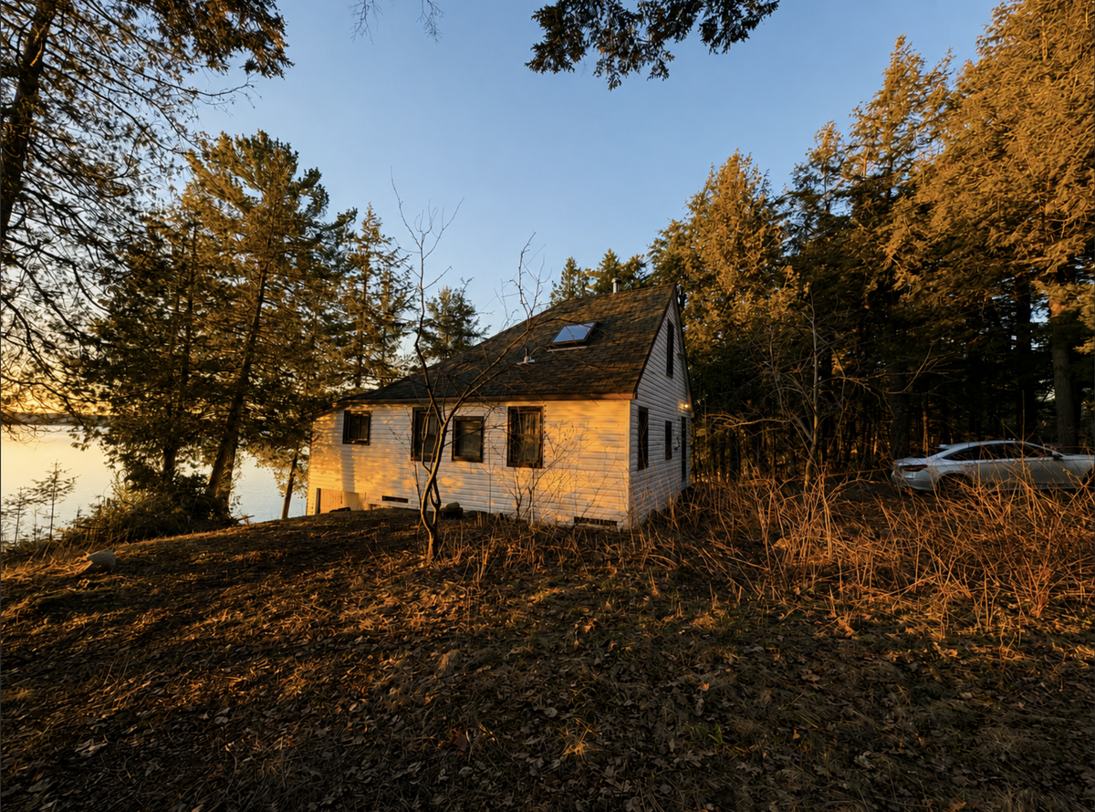 Rare Big Basswood Lakefront