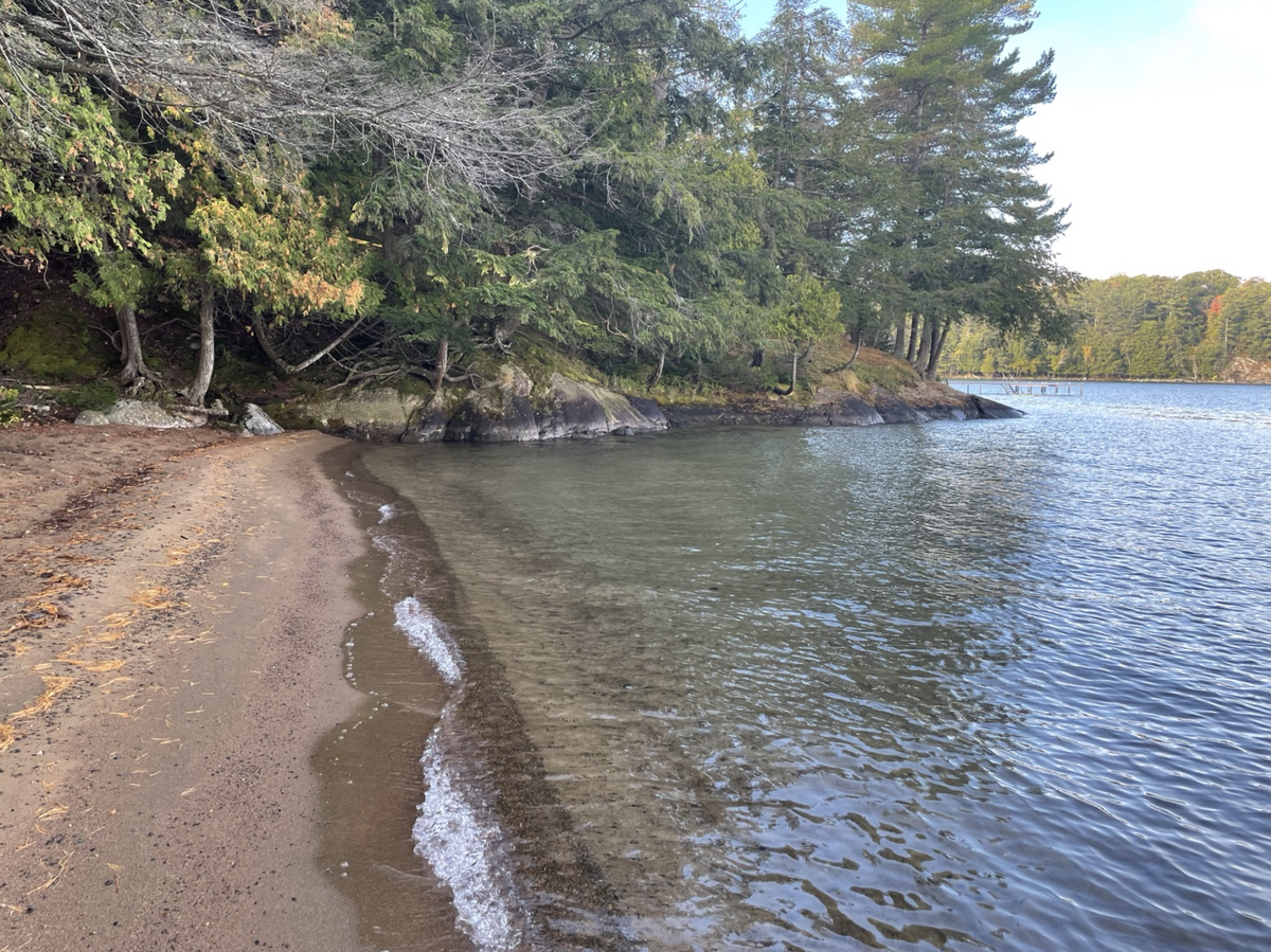Rare Big Basswood Lakefront