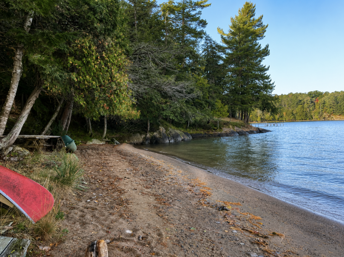 Rare Big Basswood Lakefront