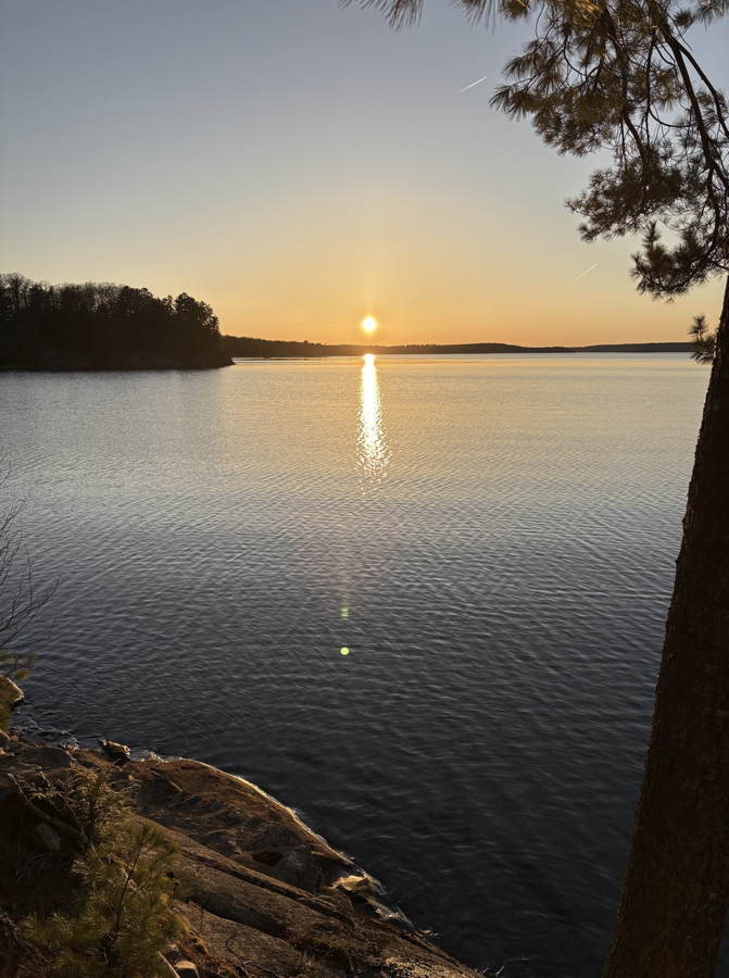 Rare Big Basswood Lakefront