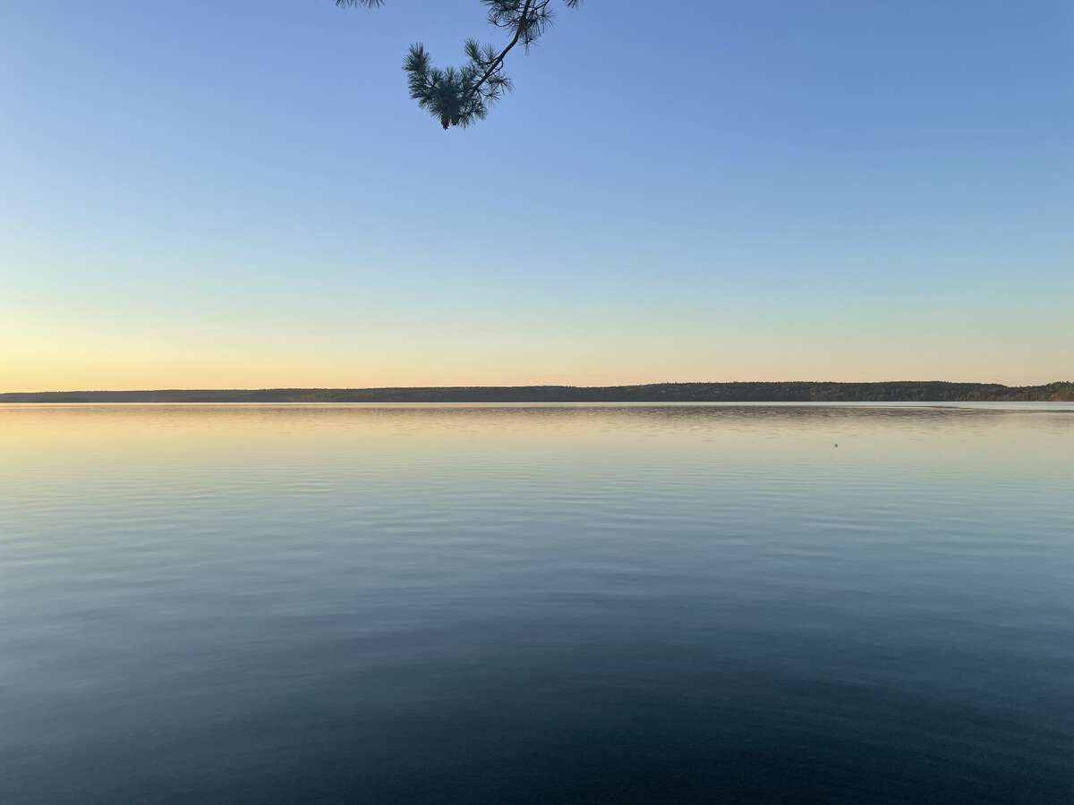Rare Big Basswood Lakefront