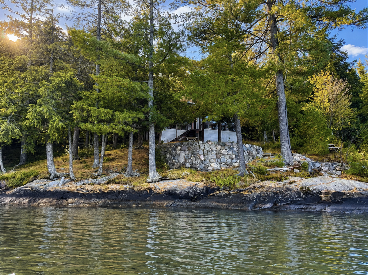 Rare Big Basswood Lakefront