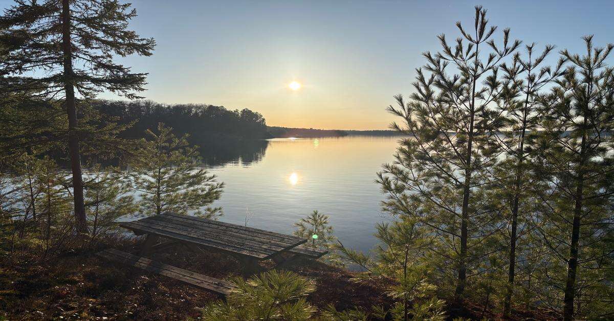 Rare Big Basswood Lakefront