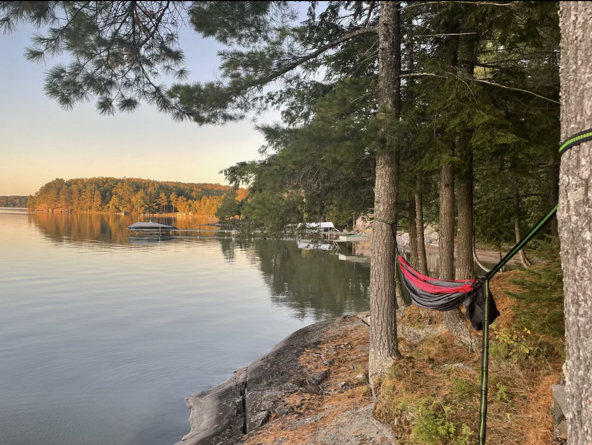 Rare Big Basswood Lakefront