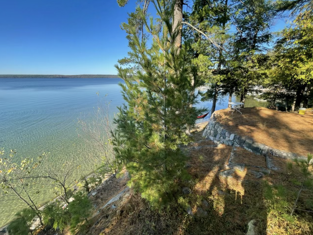 Rare Big Basswood Lakefront