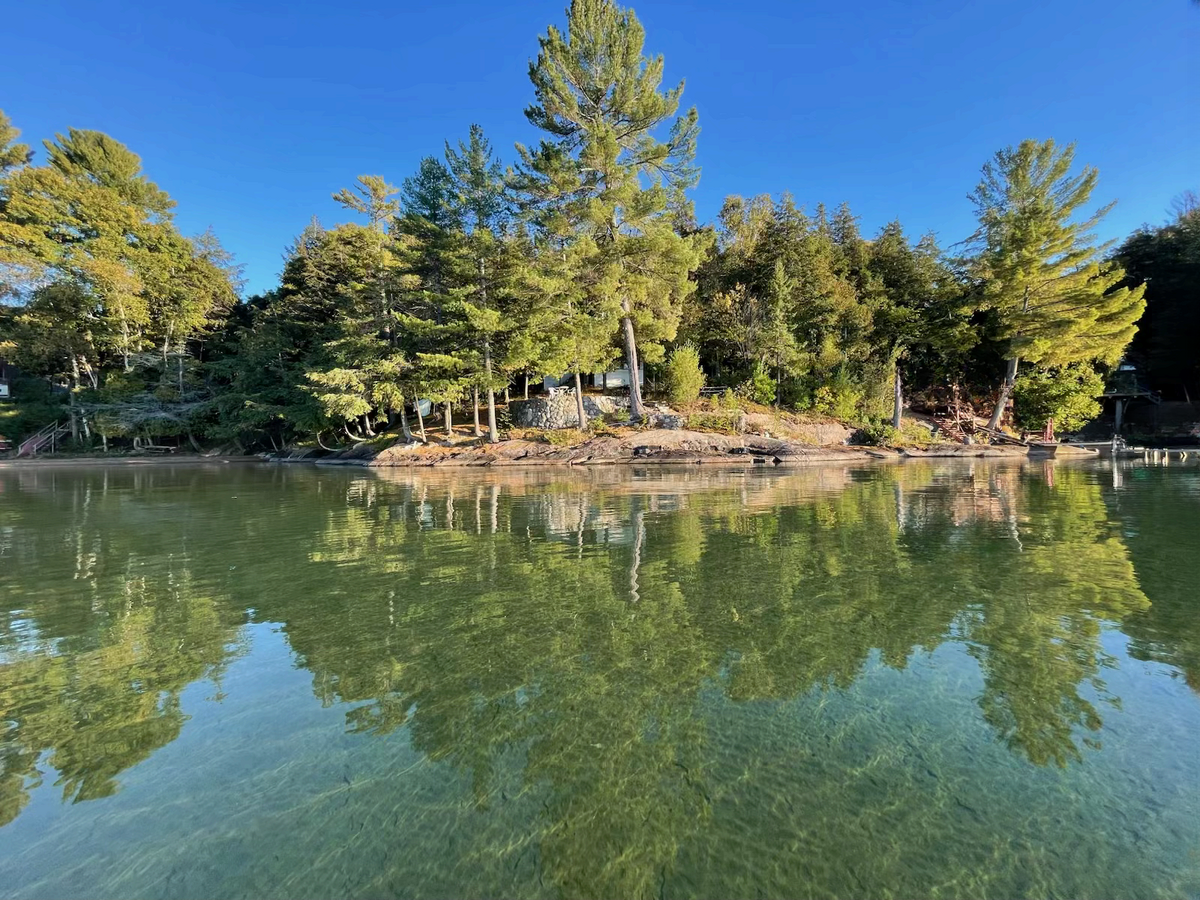 Rare Big Basswood Lakefront