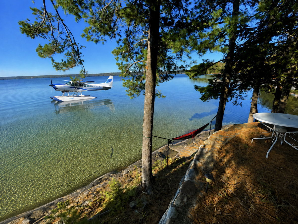 Rare Big Basswood Lakefront