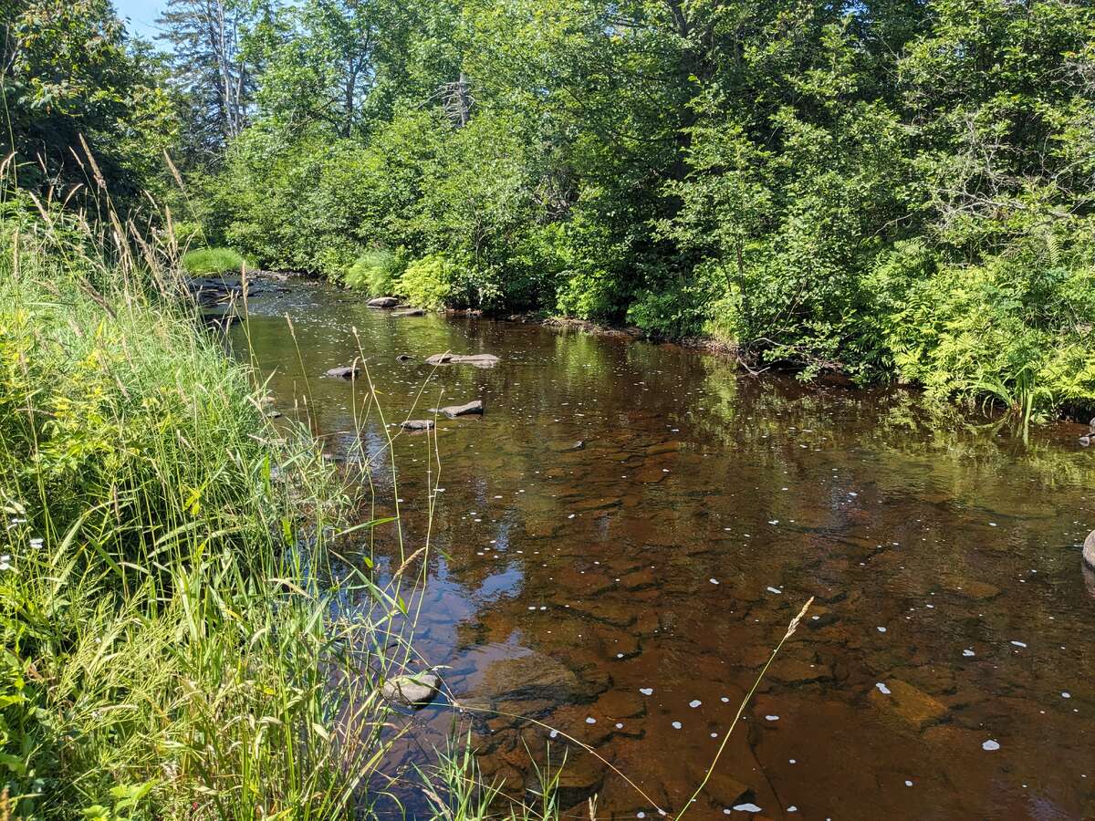 Waterfront country home with in-law suite/rental