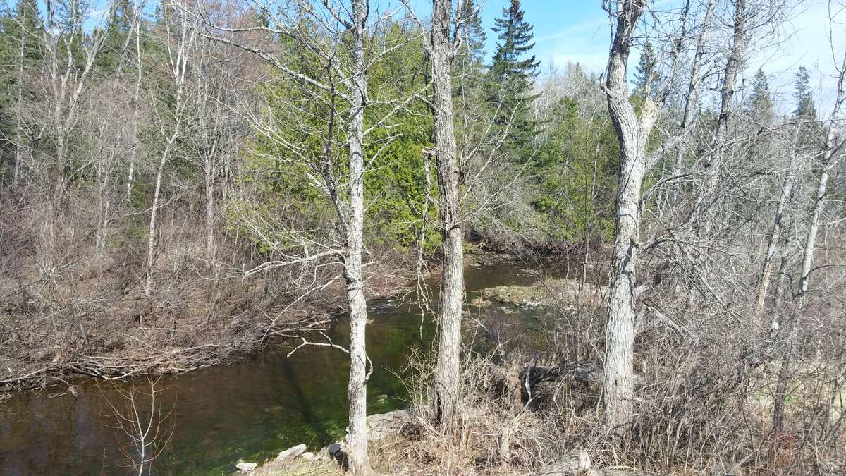 Waterfront country home with in-law suite/rental