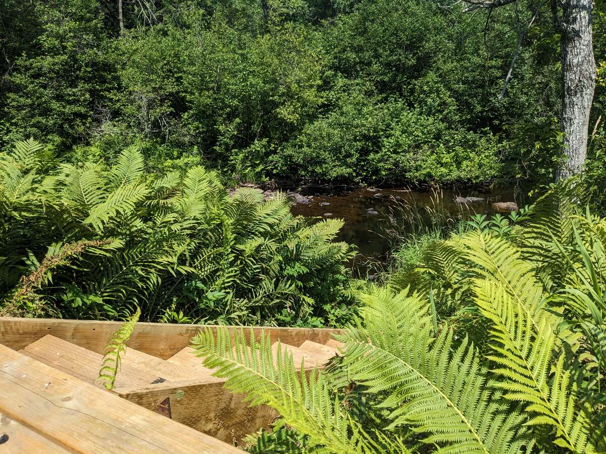 Waterfront country home with in-law suite/rental