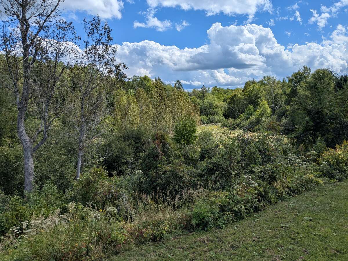 Waterfront country home with in-law suite/rental