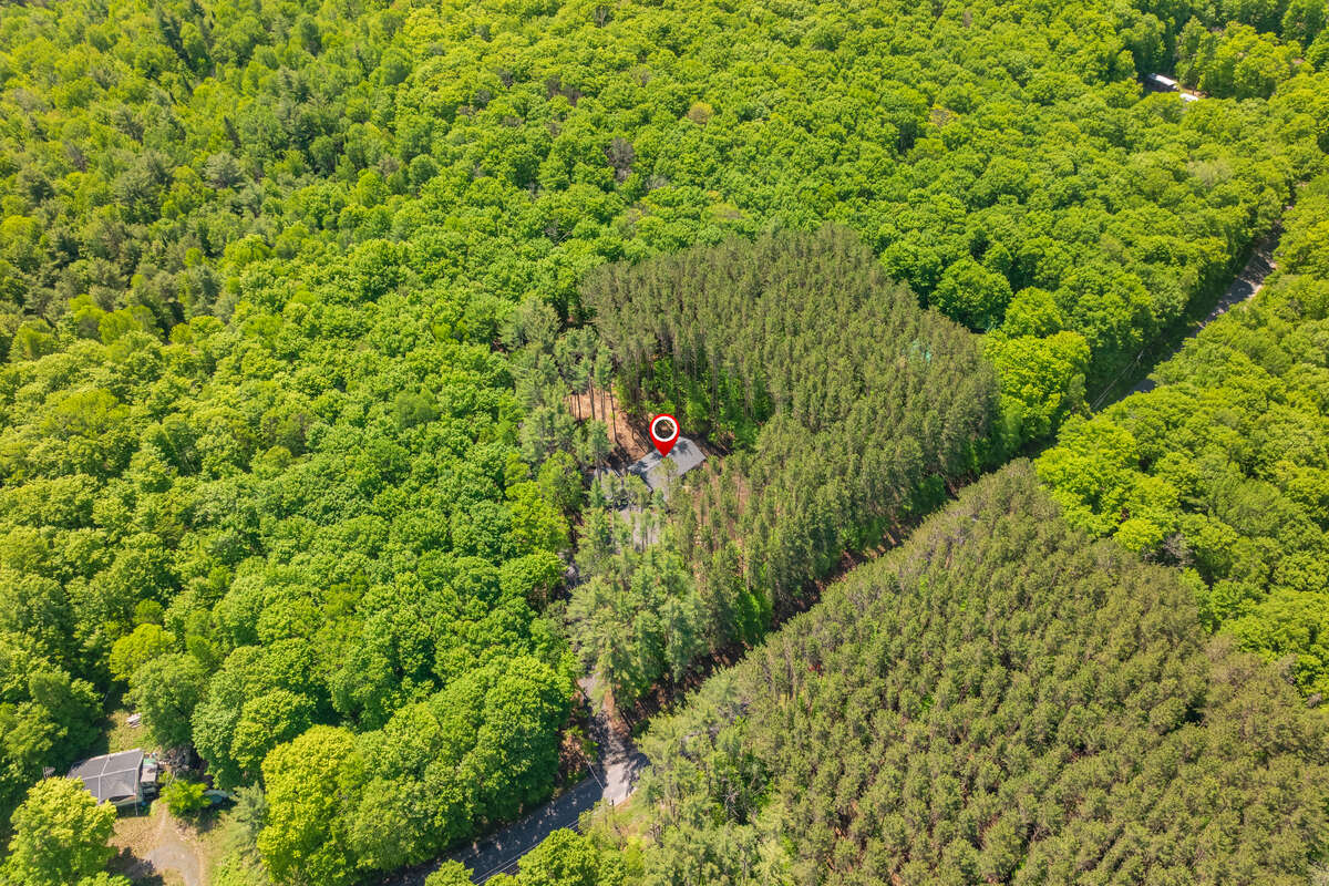 New Three Bedroom Home - Forested Lot