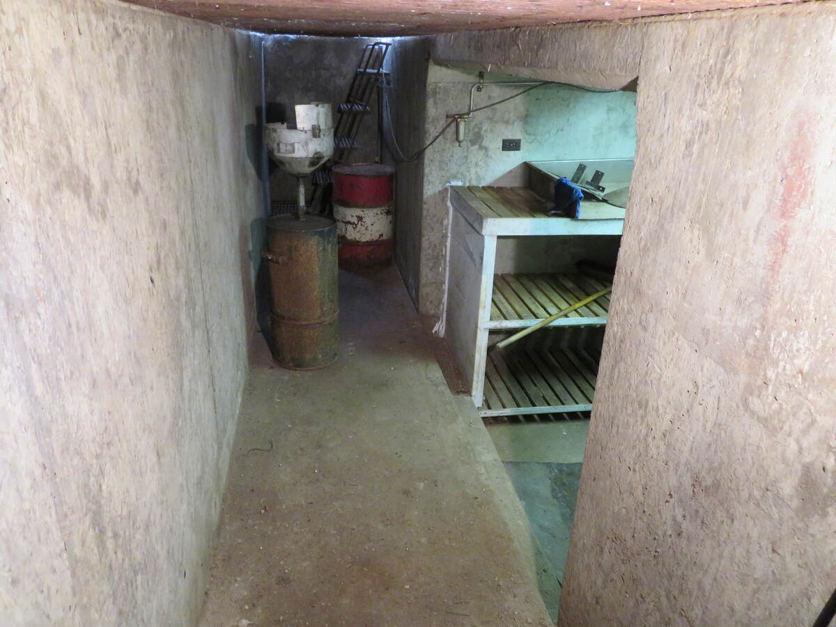 Mechanic Pit below grade in Detached Garage