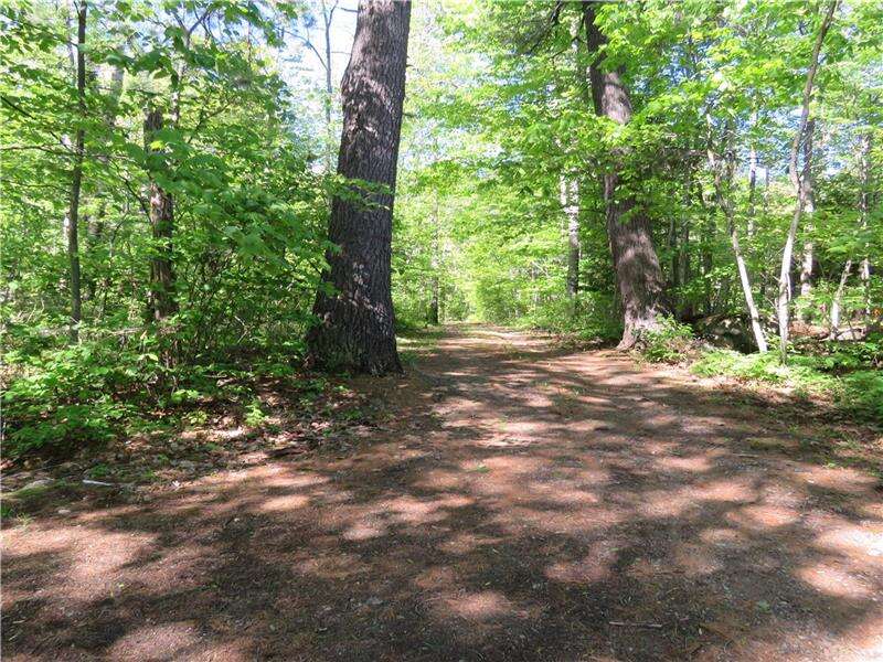 Private Treed Entrance