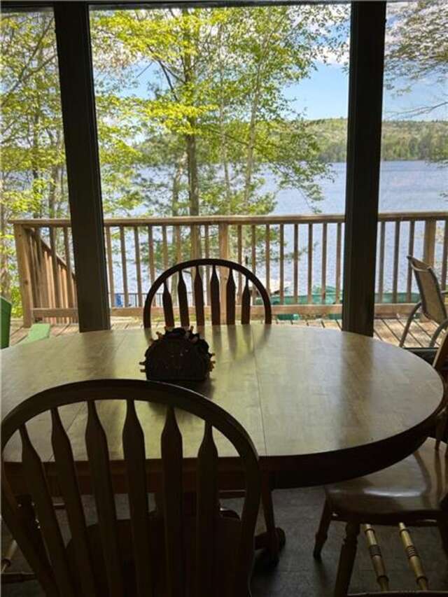 Looking out on the lake