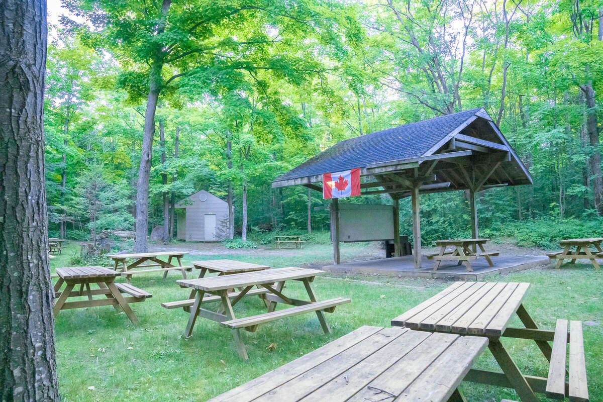 Picnic Area
