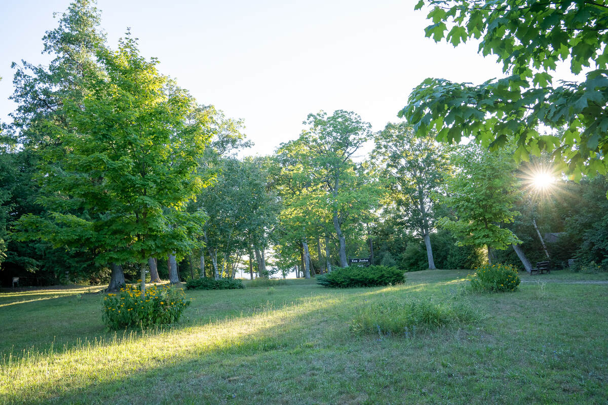 Park #1