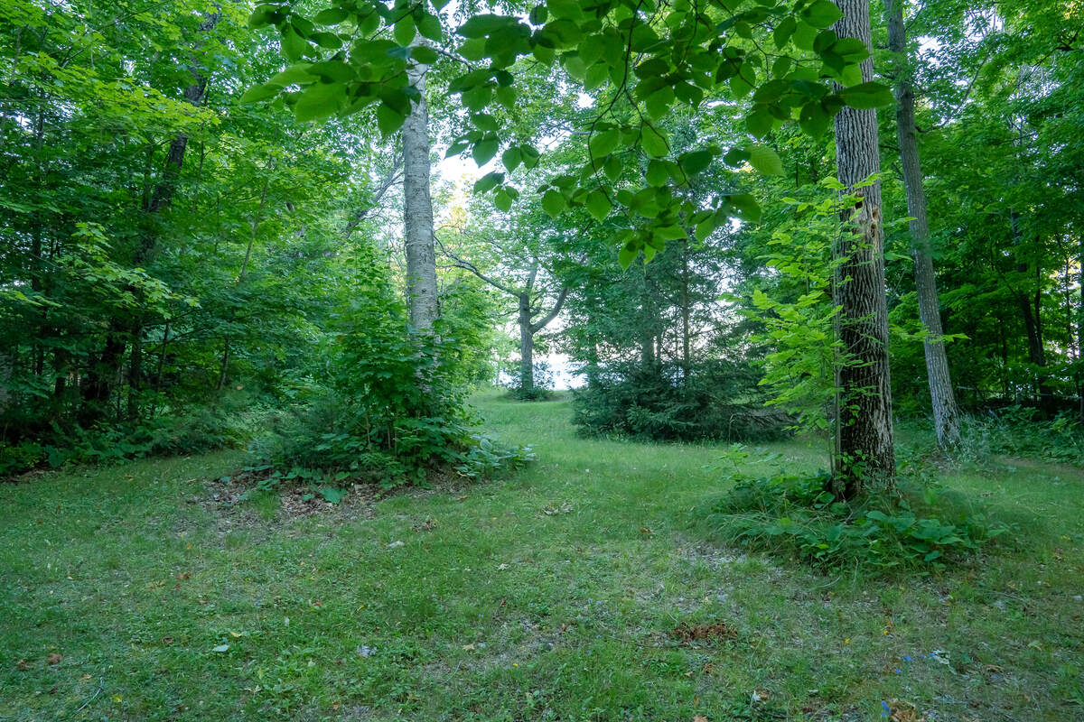 Park #2