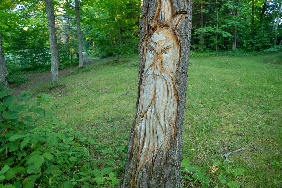 Carving in Park #2